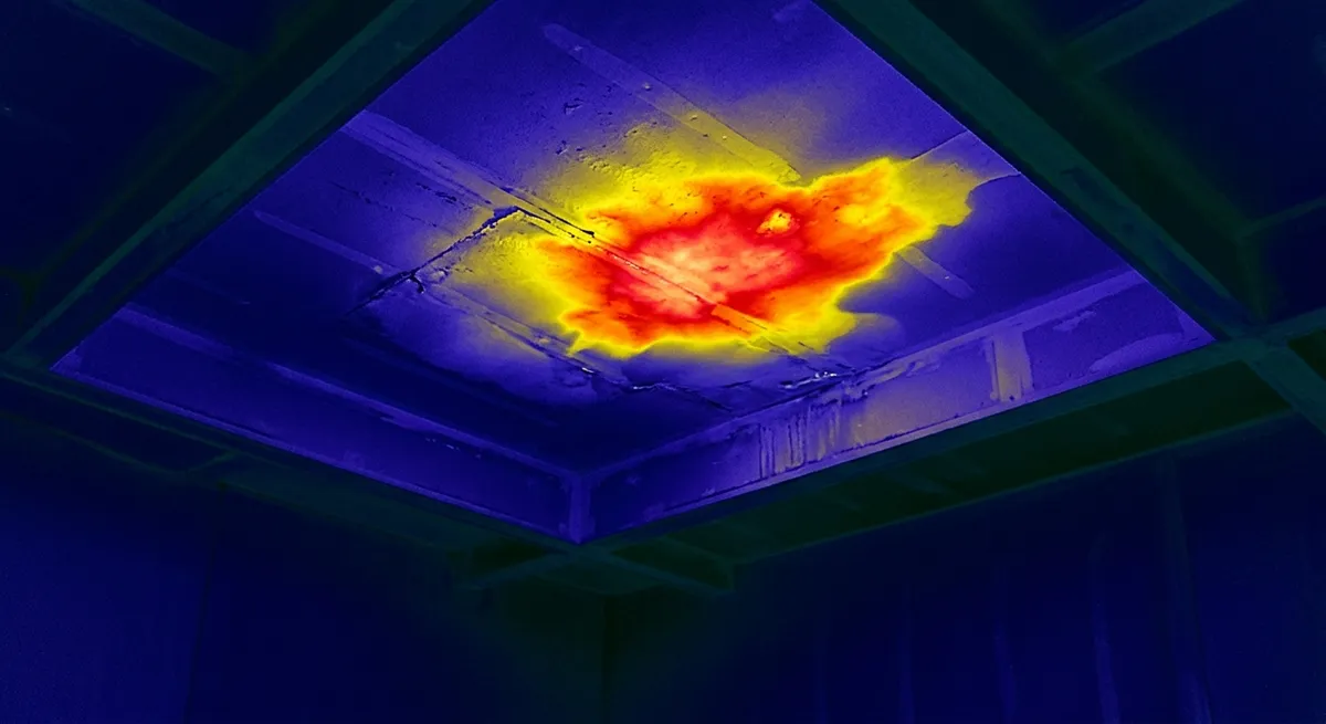 thermographie dégât eaux plafond